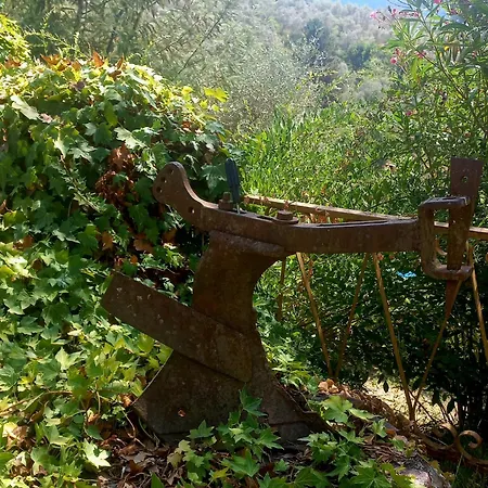B&B La Risorgiva-2